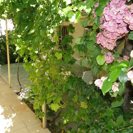 Stipe Apartment